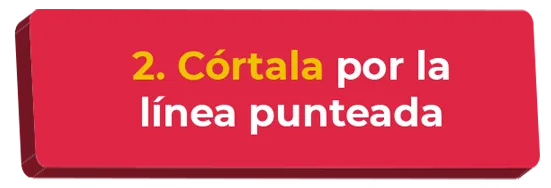 Paso 2